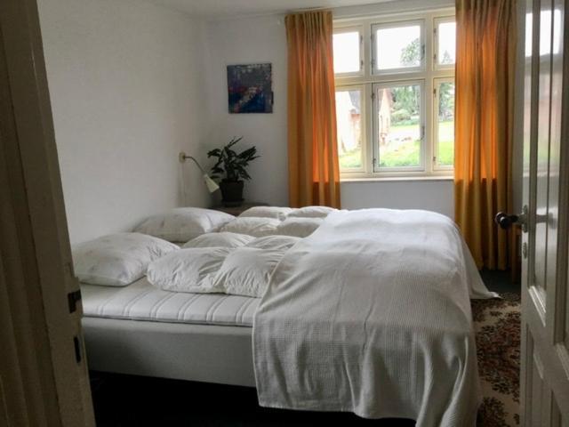 My Home Spodsbjerg Dış mekan fotoğraf